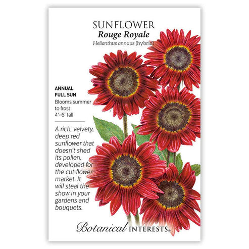 SEEDS 449