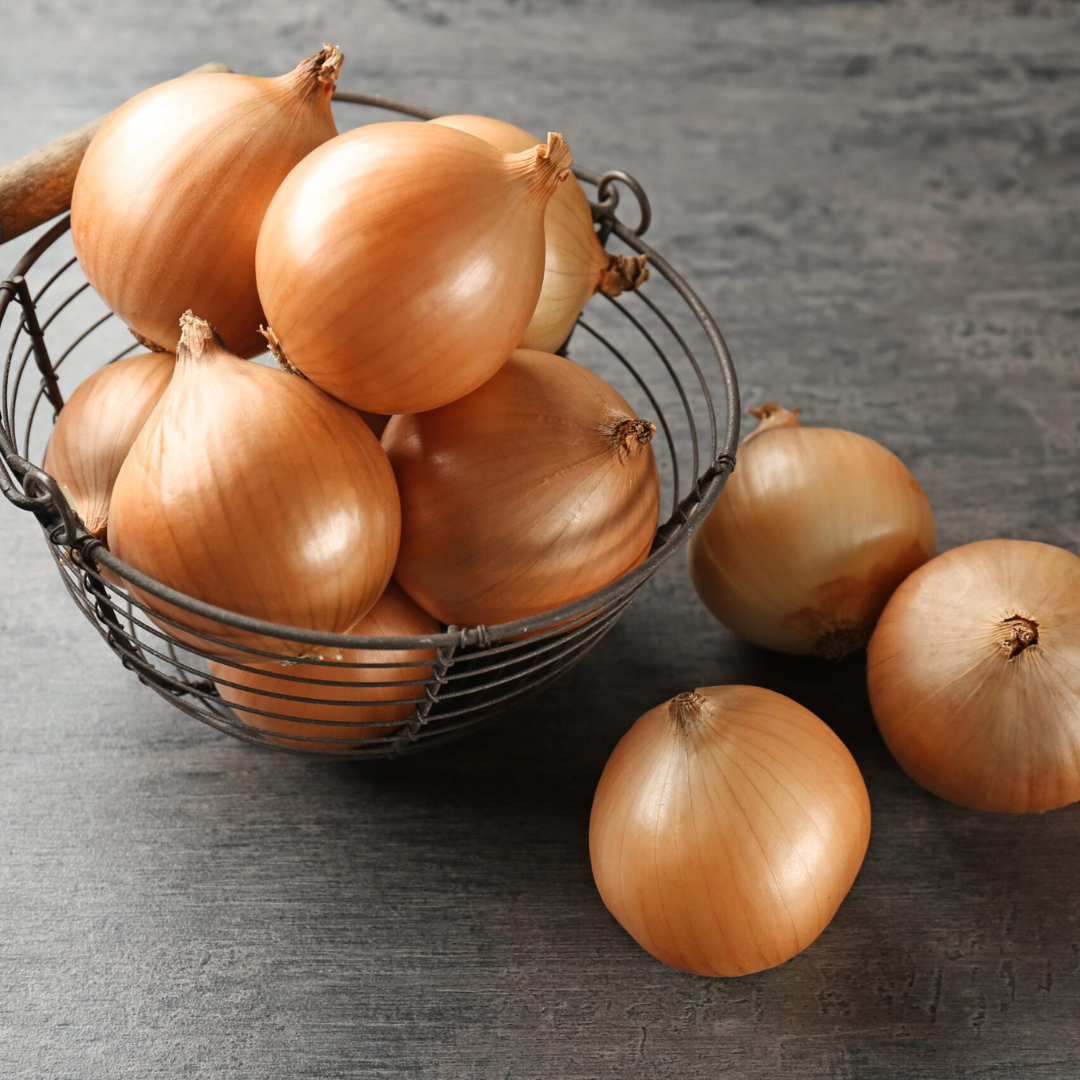 (Intermediate-Day) Expression Onion Plants