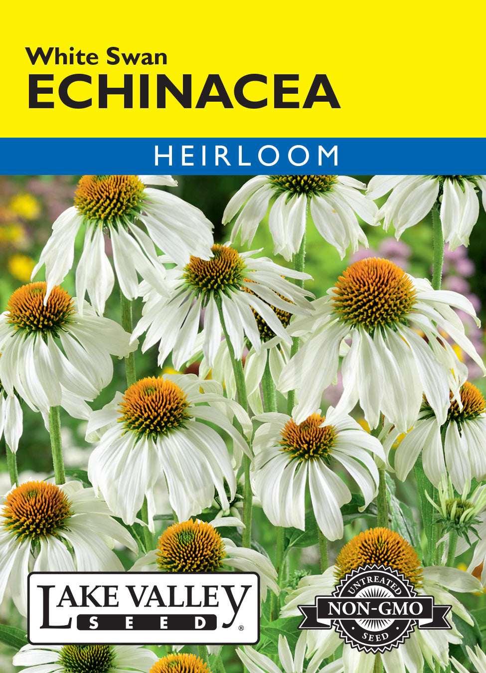 SEEDS 259