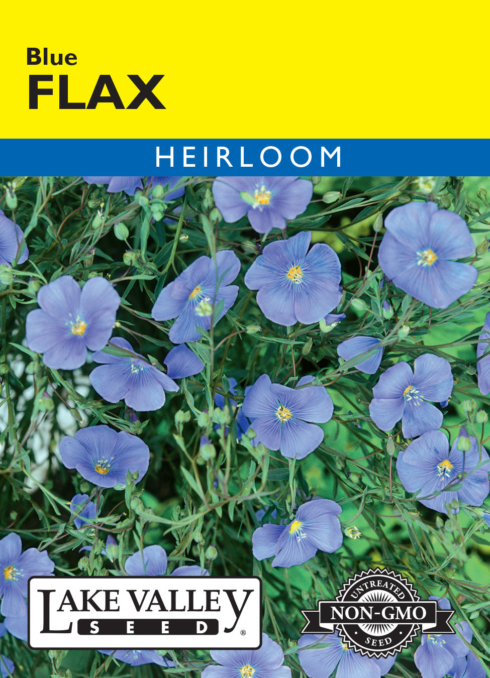 SEEDS 239