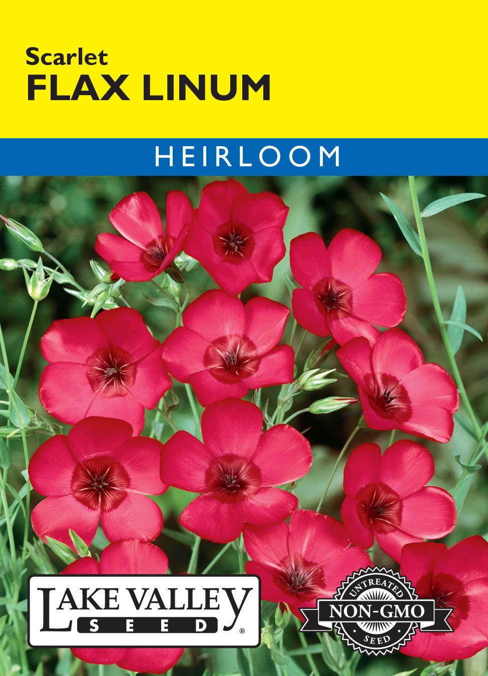 SEEDS 239
