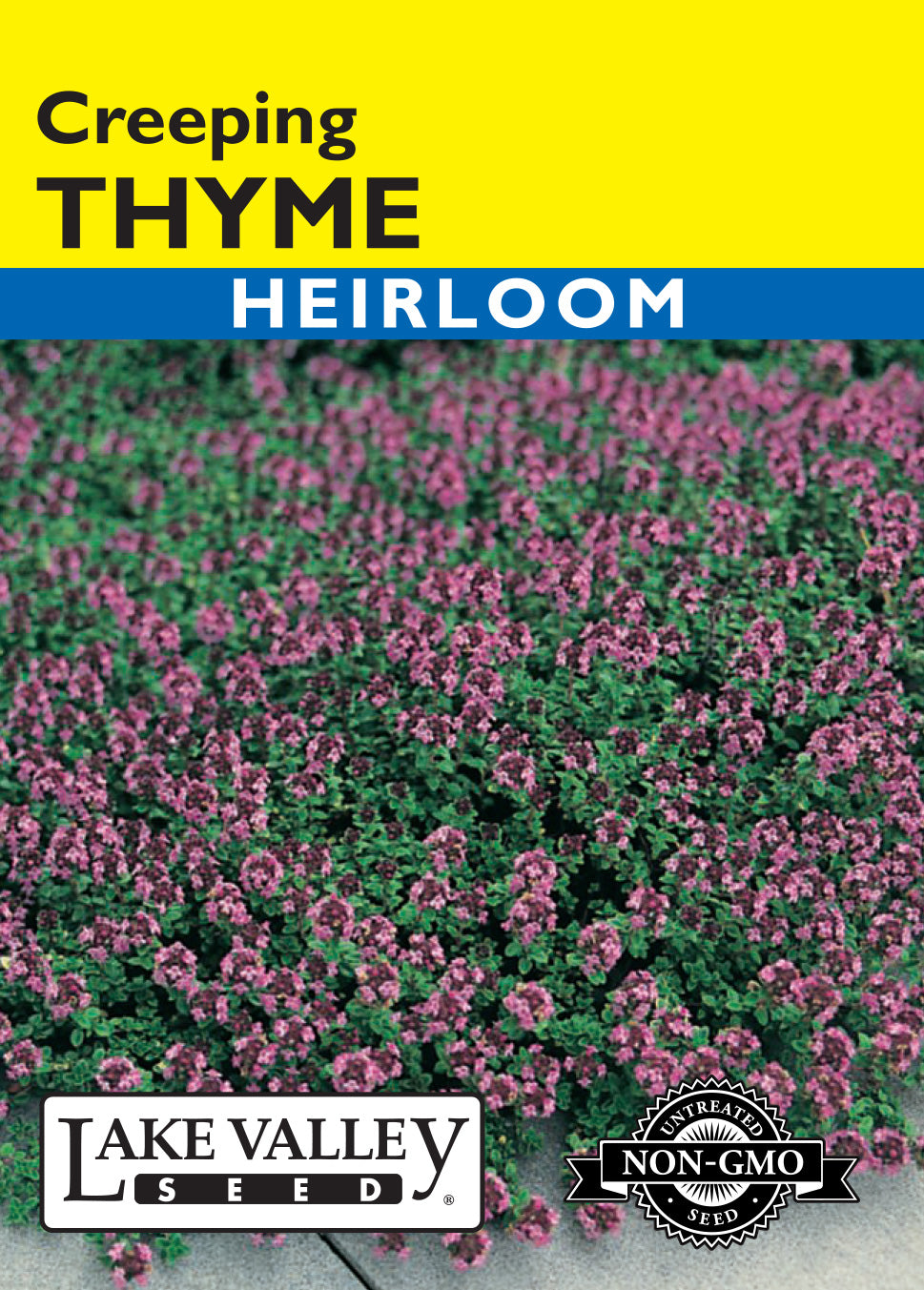 SEEDS 259