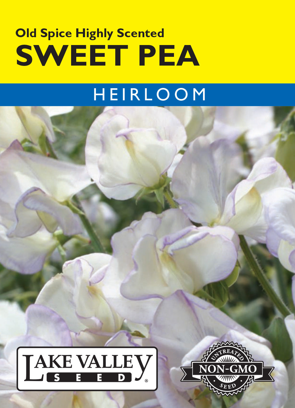 SEEDS 329