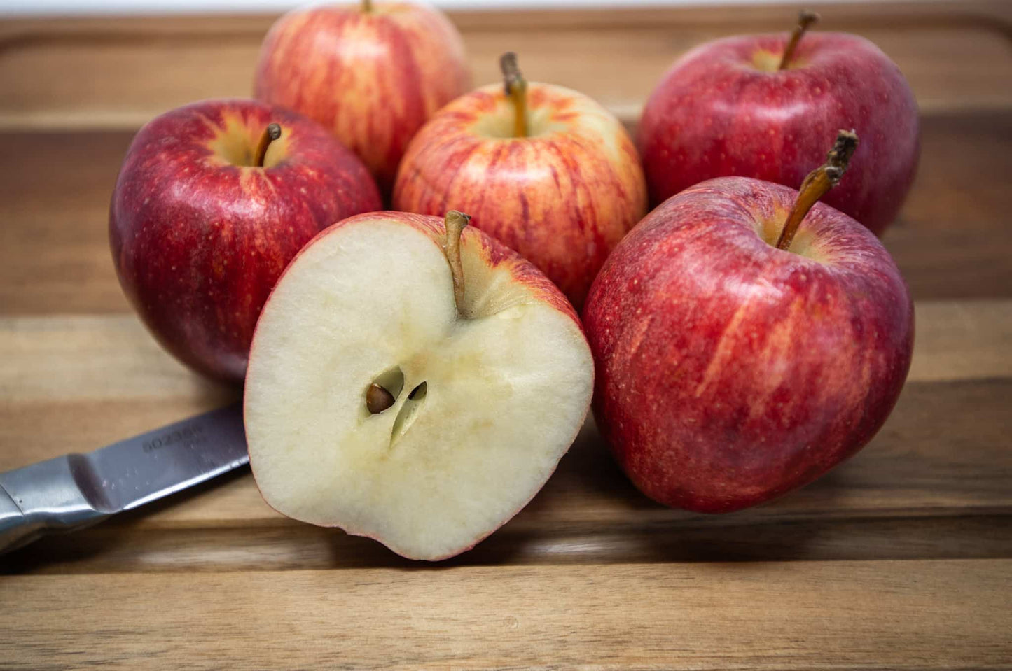 GALA APPLE TREE 7gal