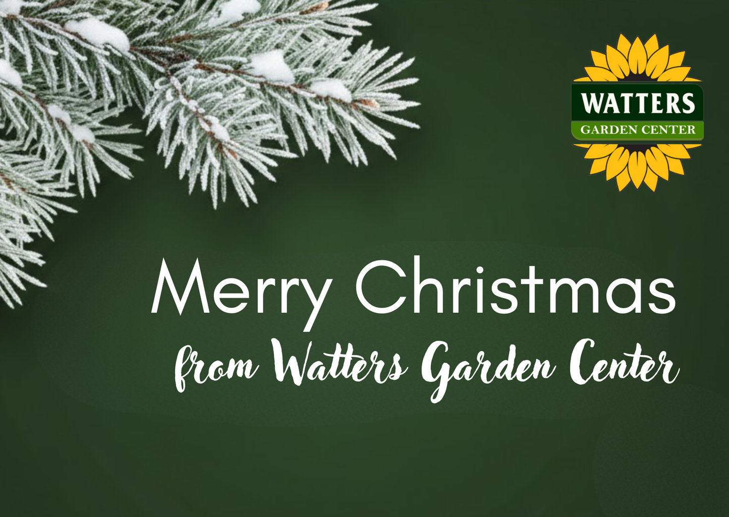 Holiday Garden Gift 🎄