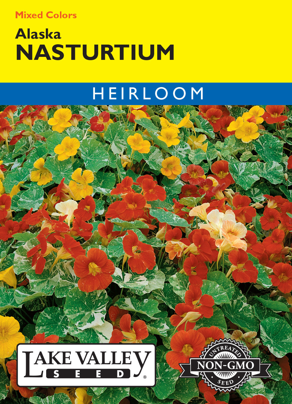 SEEDS 259