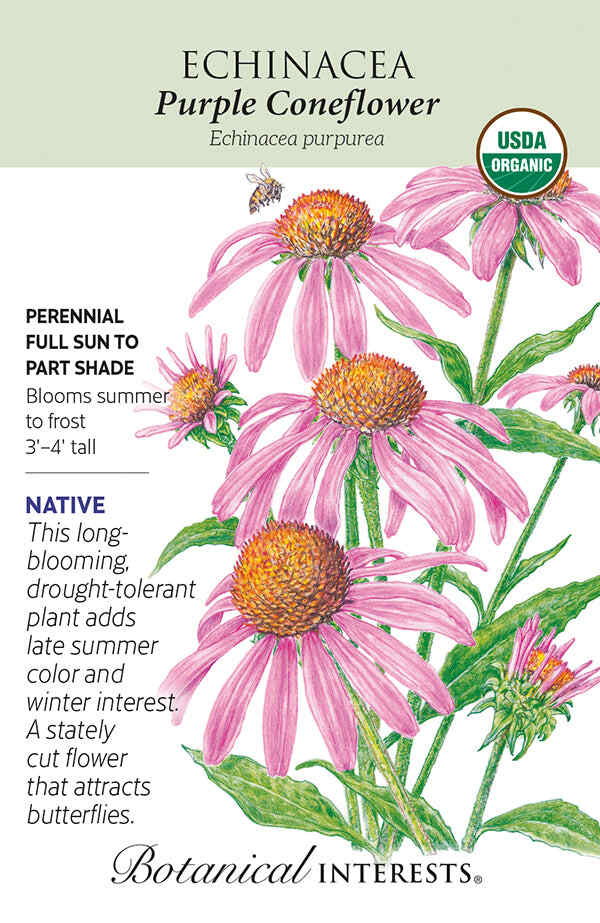 SEEDS 299