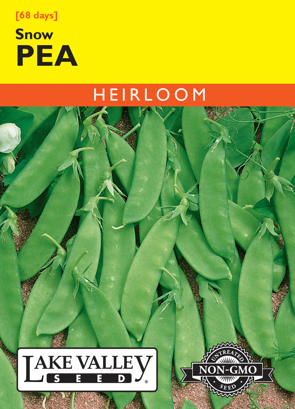 SEEDS 259