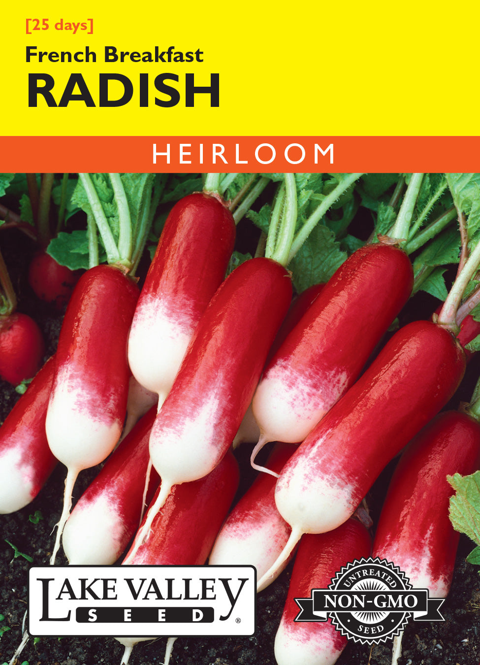 SEEDS 239