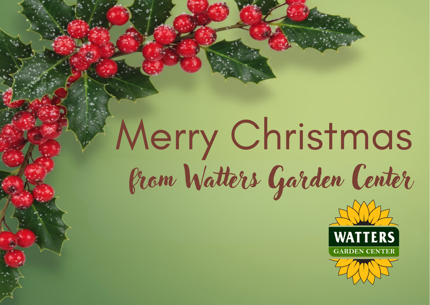 Holiday Garden Gift 🎄