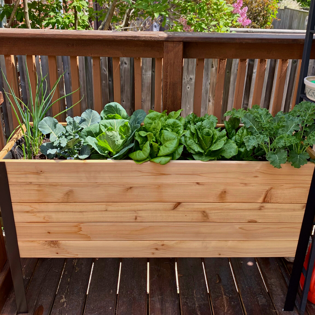 18" x 48" Raised Garden Bed - 30" TALL / Signature