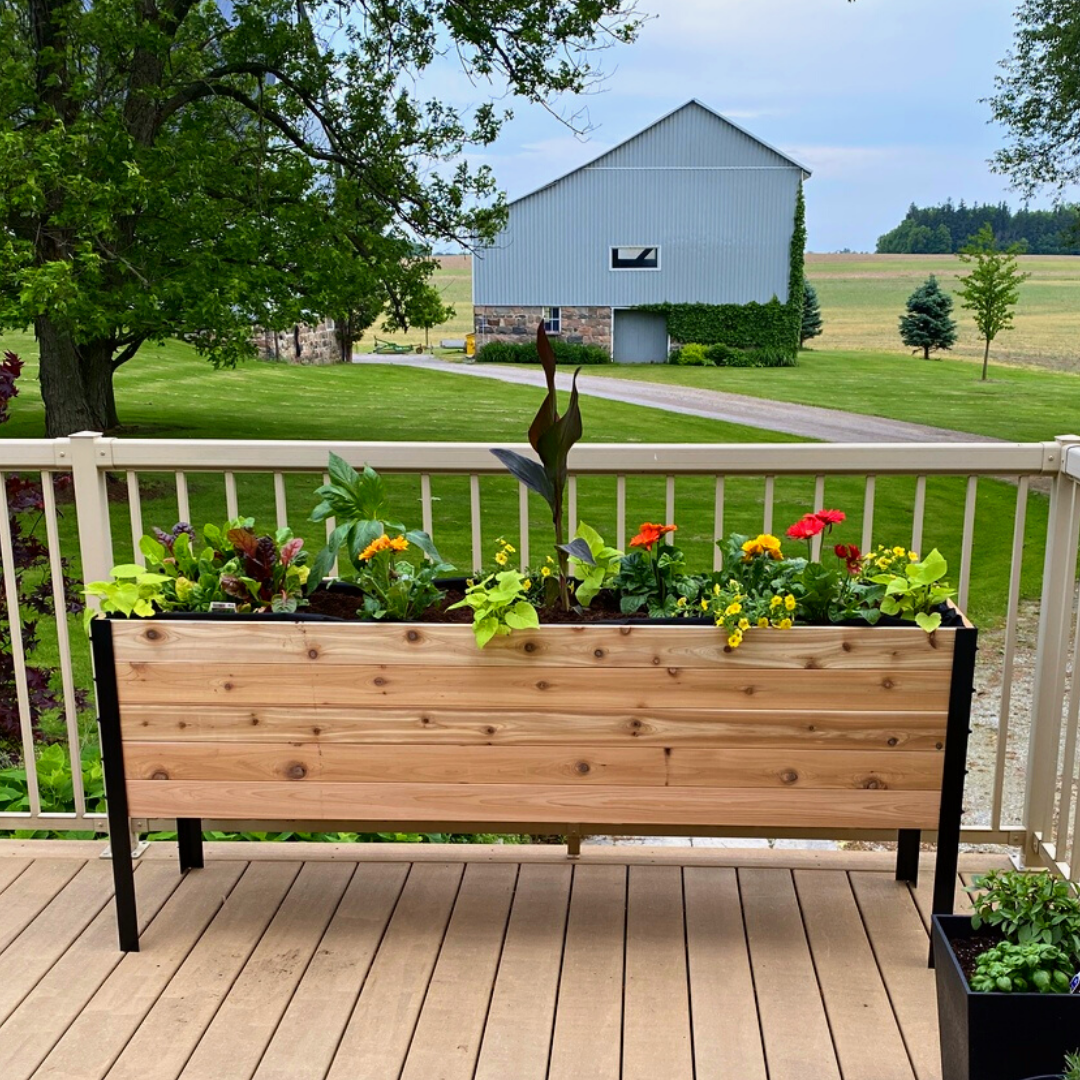 18" x 72" Raised Garden Bed - 30" TALL / Signature