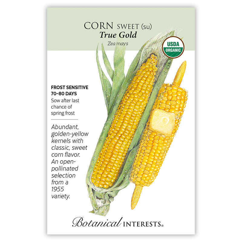 SEEDS 449