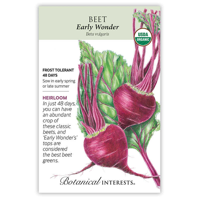 SEEDS 299