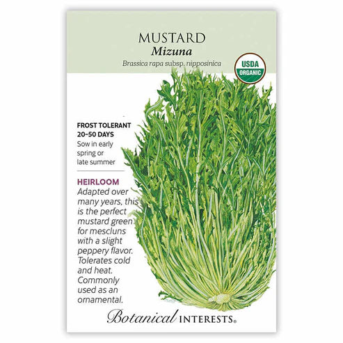 SEEDS 269