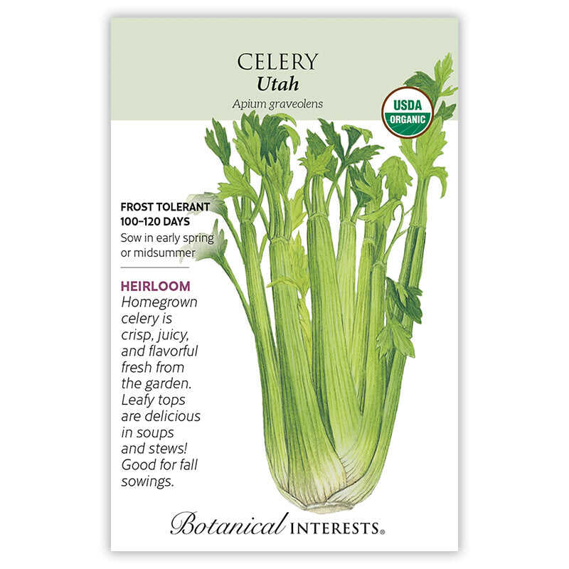 SEEDS 269