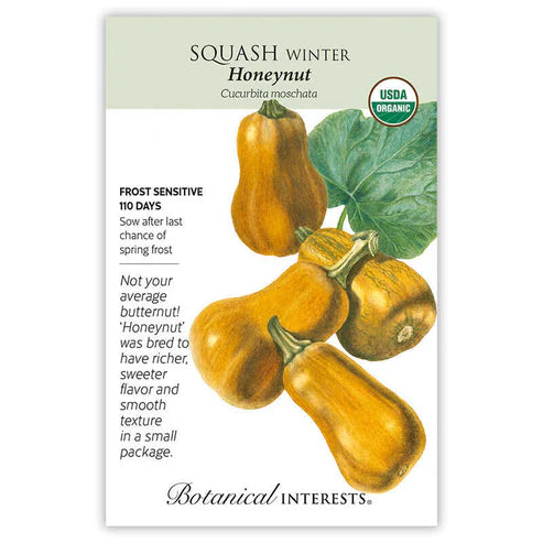 SEEDS 449