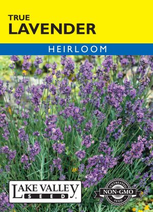 SEEDS 259