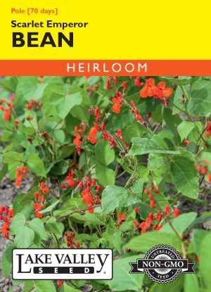 SEEDS 259