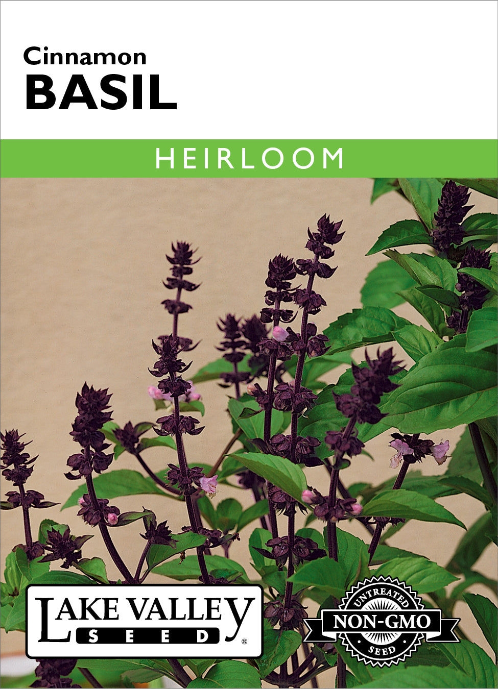 SEEDS 259