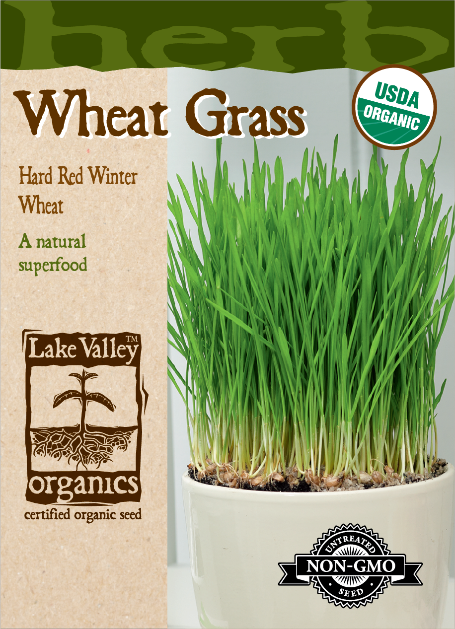 SEEDS 329 ORGANIC