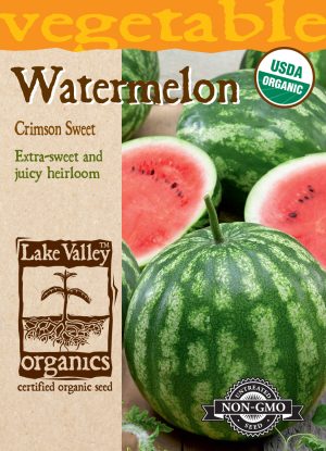 SEEDS 329 ORGANIC