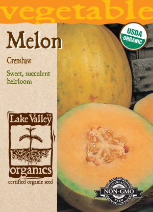 SEEDS 329 ORGANIC