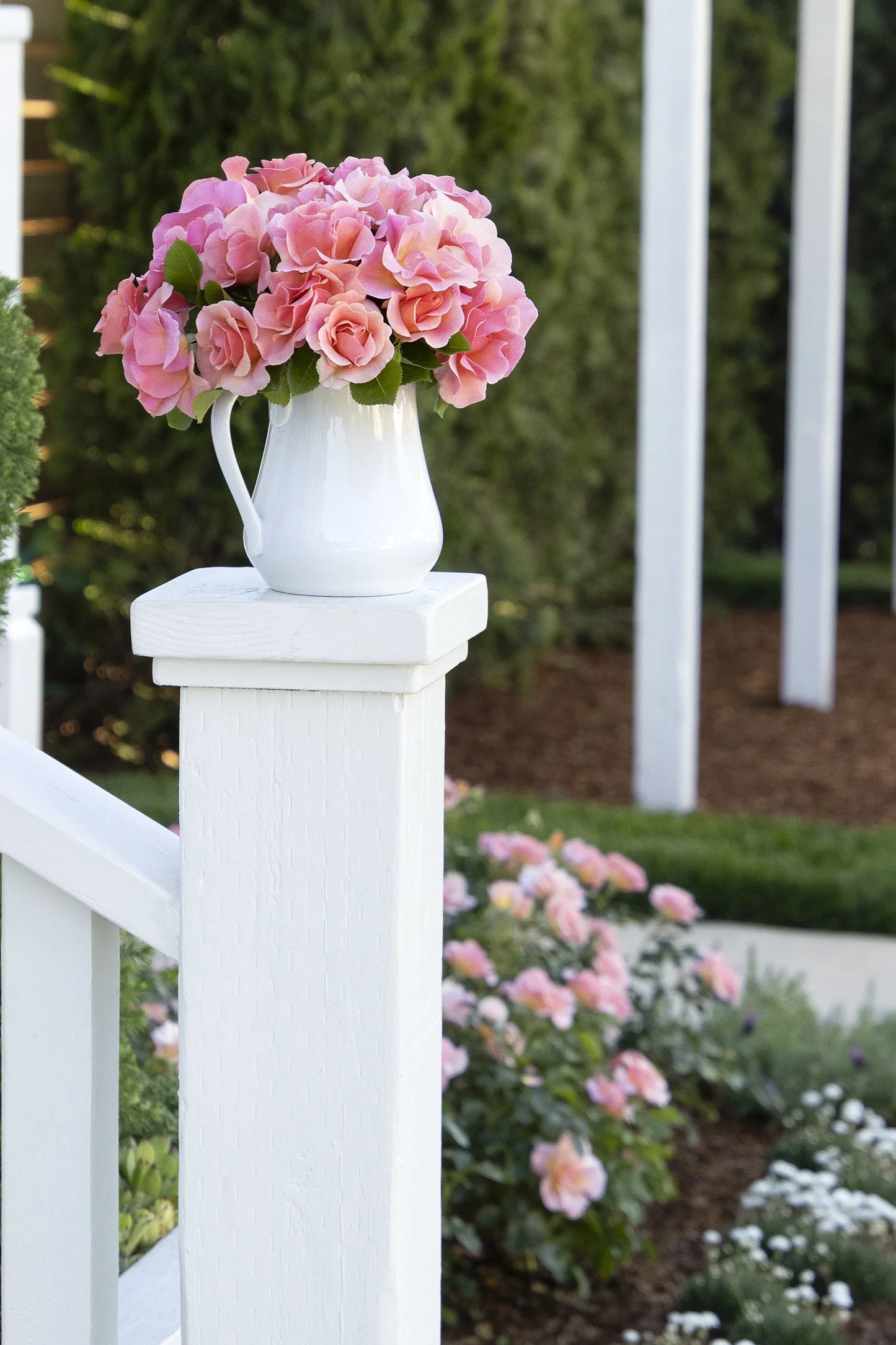 NITTY GRITTY PEACH ROSE 5gal