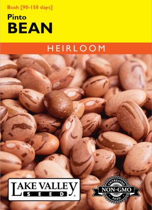 SEEDS 249