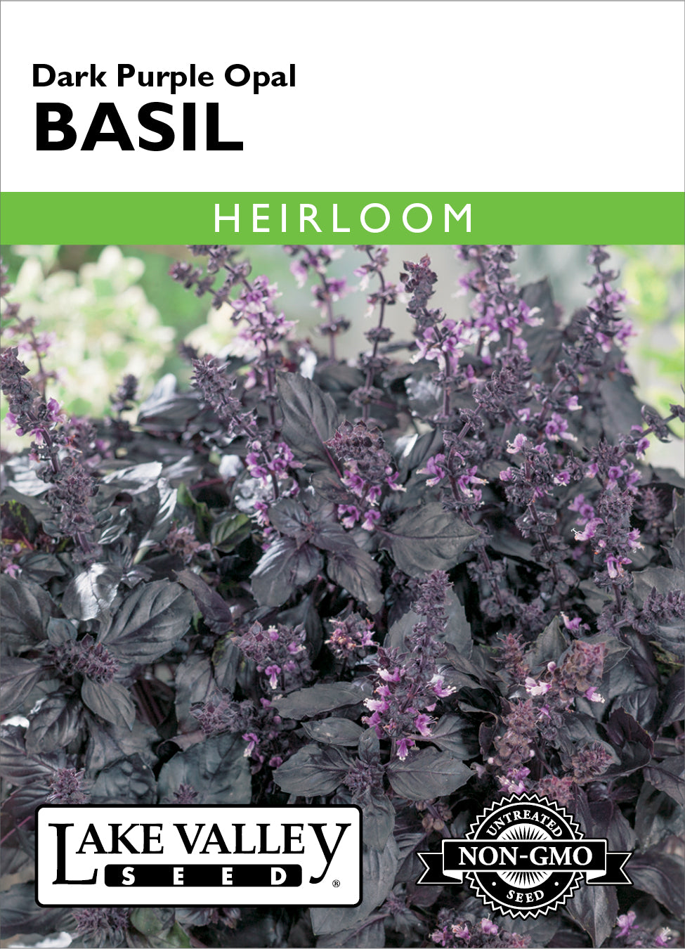 SEEDS 259