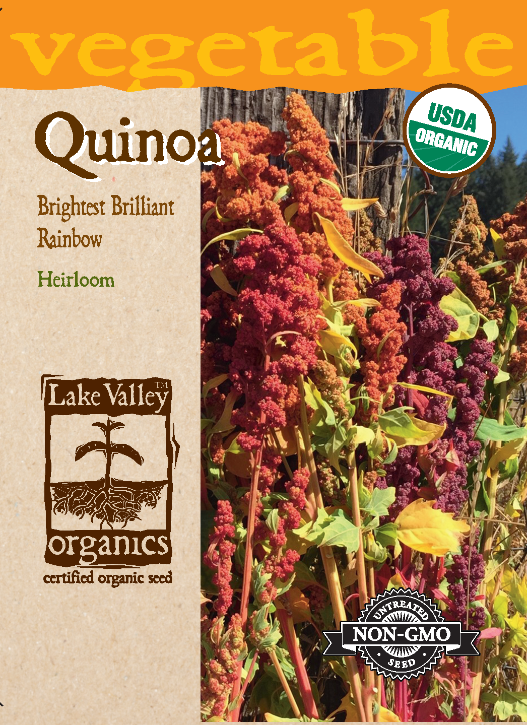 SEEDS 329 ORGANIC