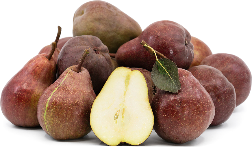 RED BARTLETT PEAR TREE 5gal