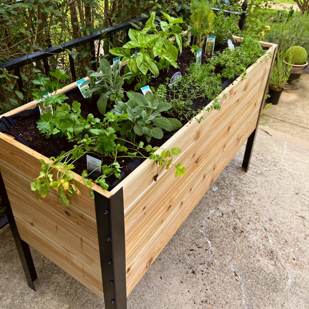 18" x 48" Raised Garden Bed - 30" TALL / Signature