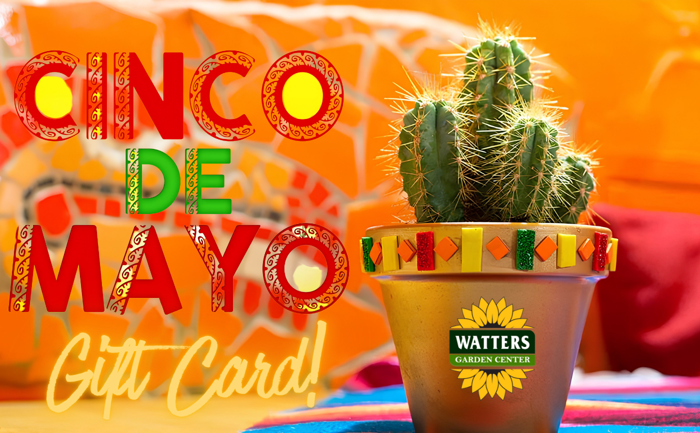Watters Garden Center Gift Card