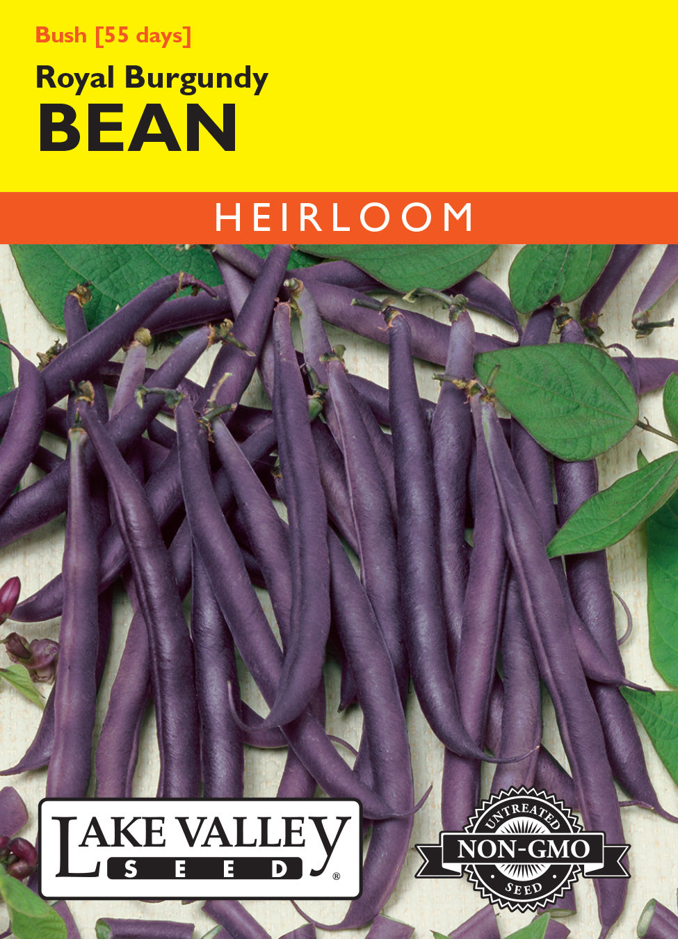 SEEDS 239