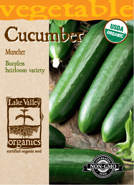 SEEDS 329 ORGANIC