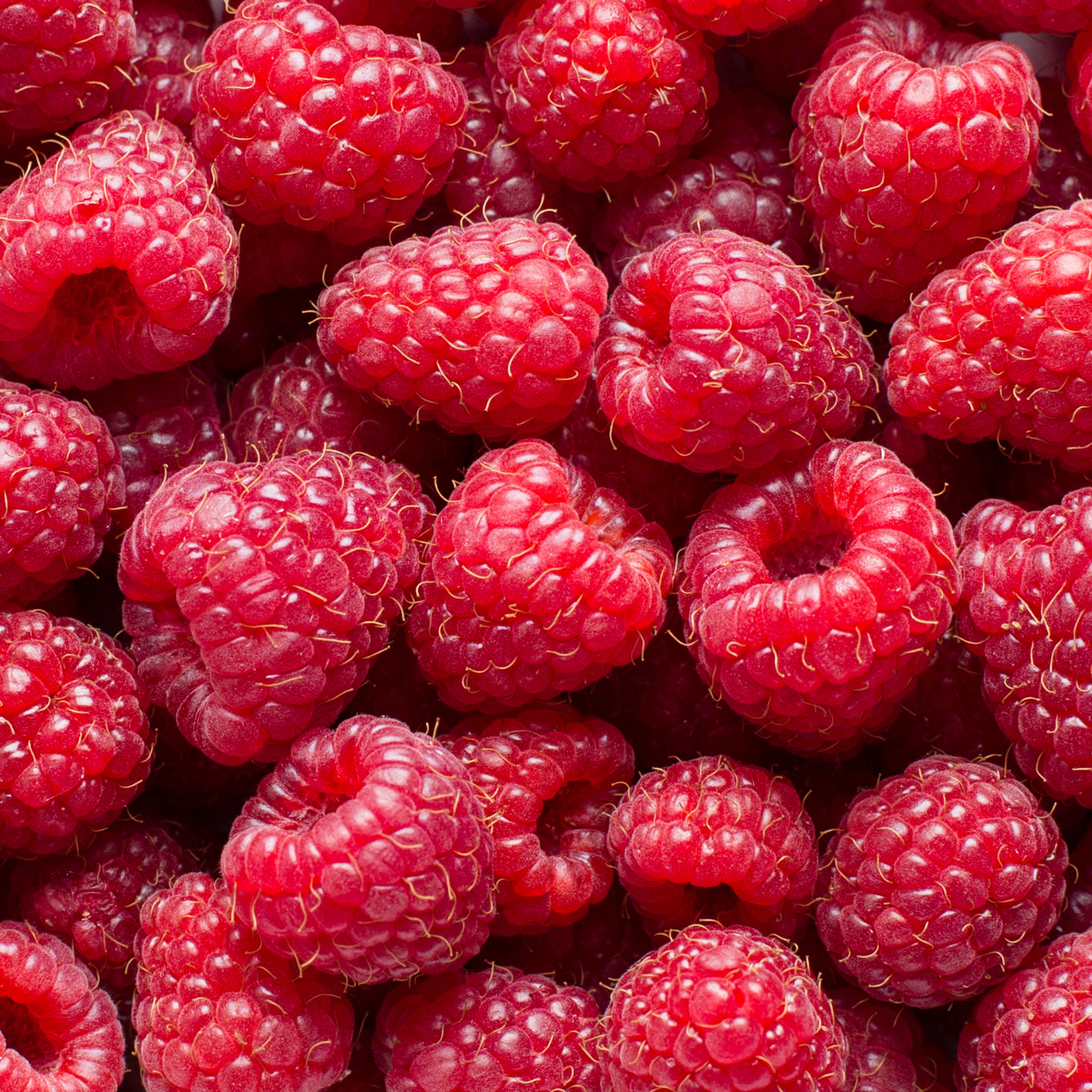 SUPERLICIOUS RASPBERRY 2gal