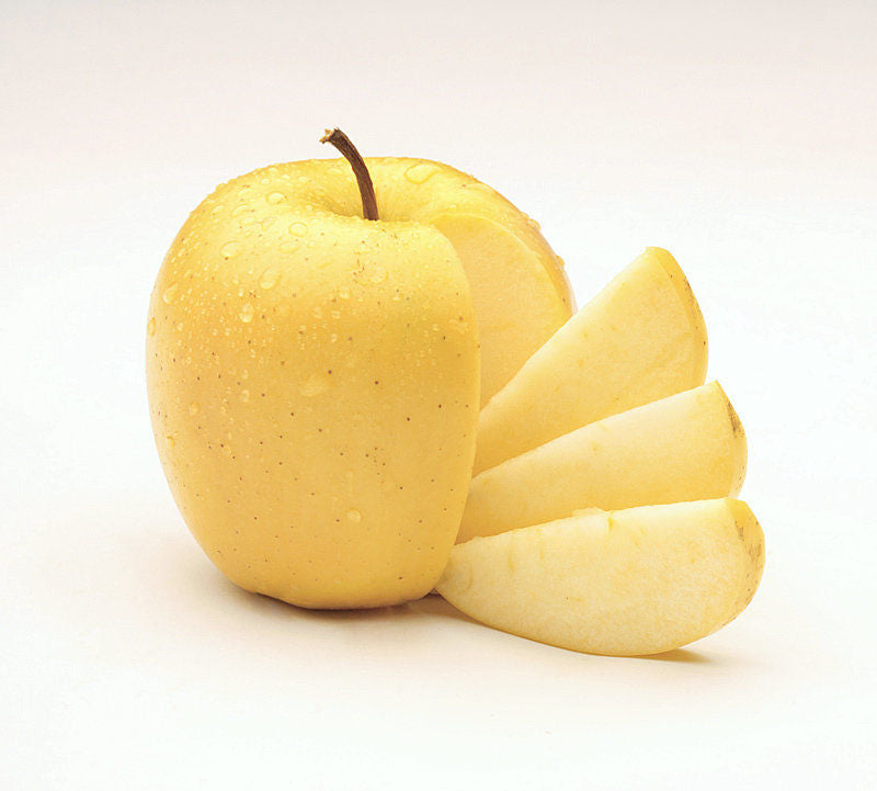 GOLDEN DELICIOUS APPLE SEMI DWARF 5gal