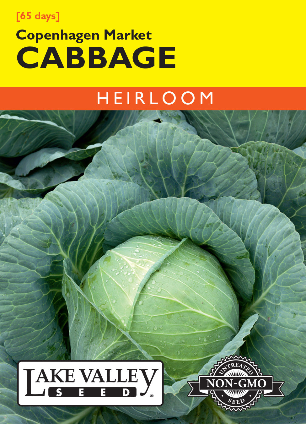 SEEDS 239