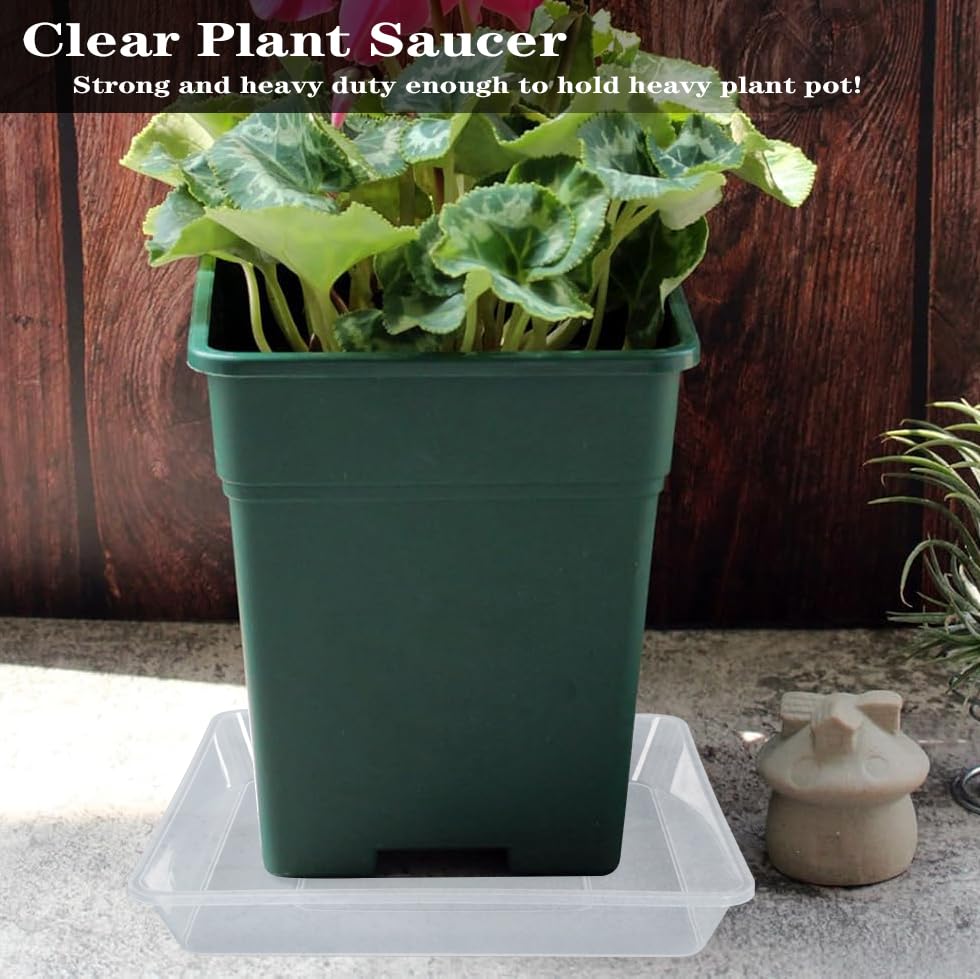 CLEAR PLASTIC SAUCER SQUARE 12in