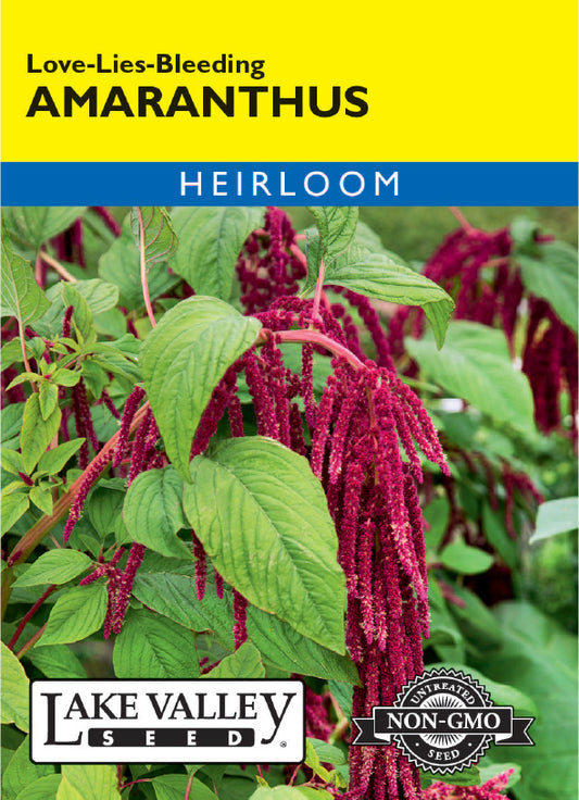 SEEDS 239