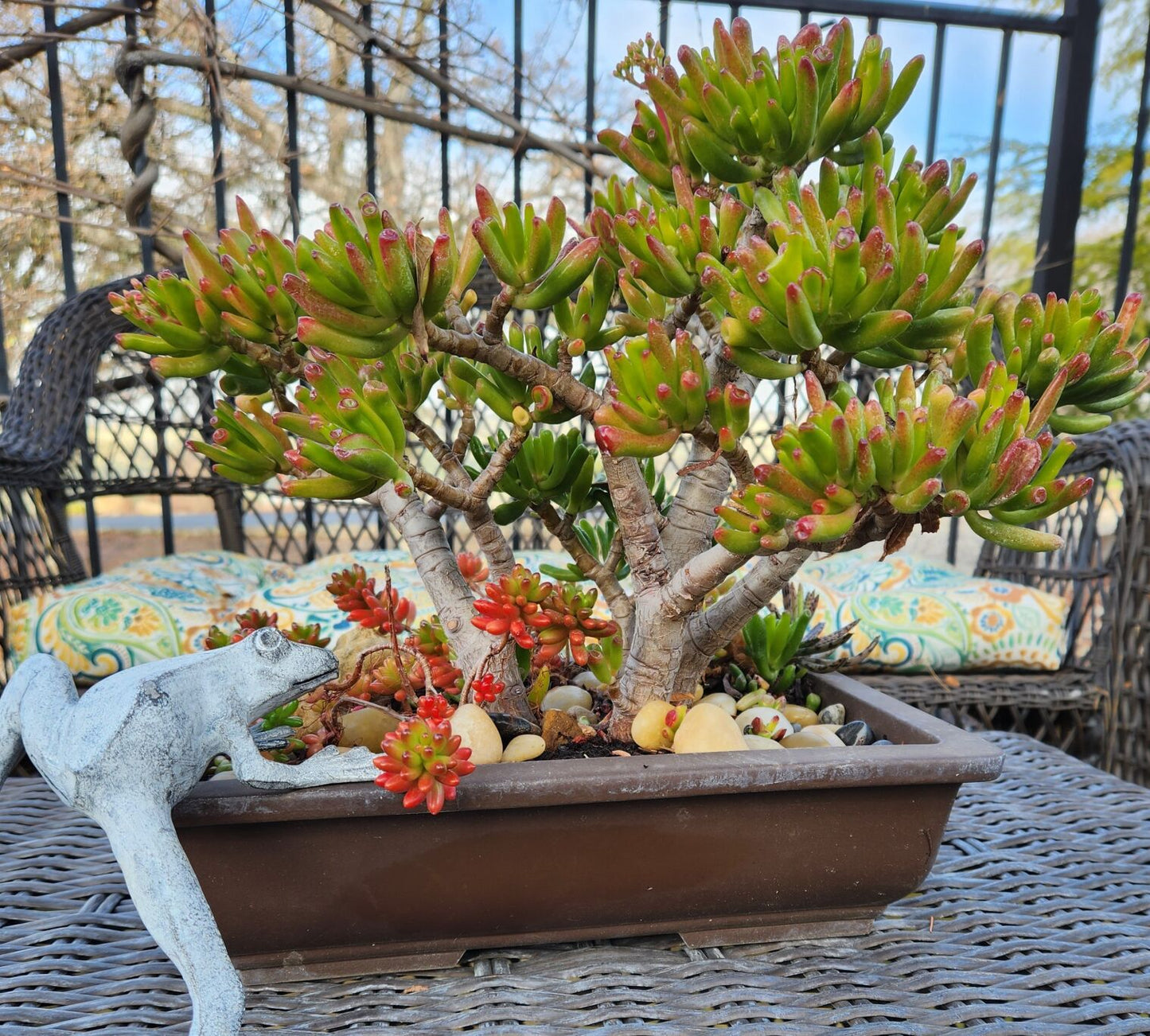 Gollum Jade