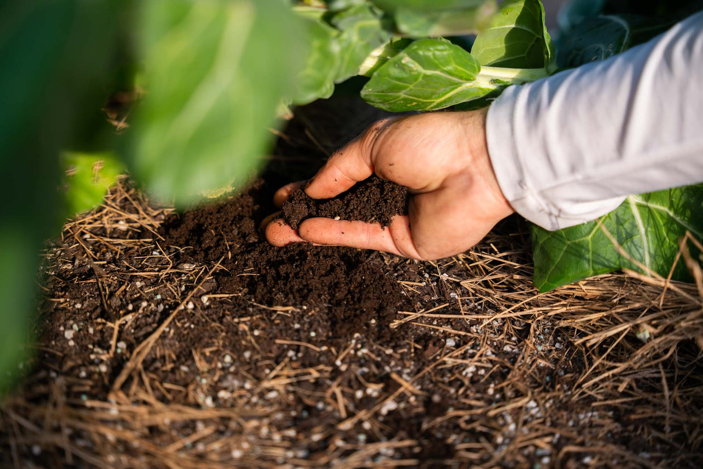 PURE WORM CASTINGS 20qt