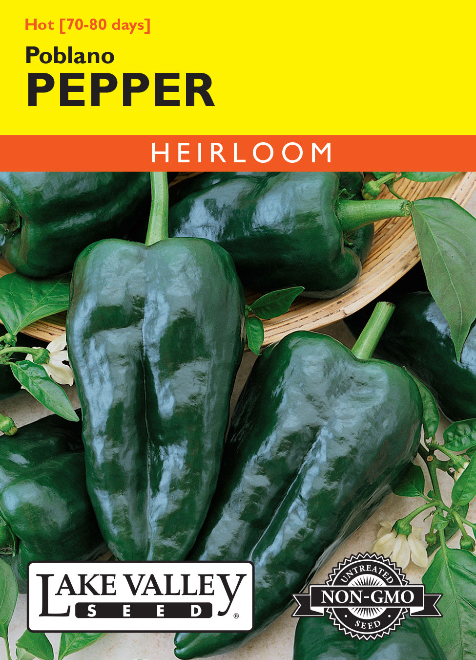 SEEDS 259