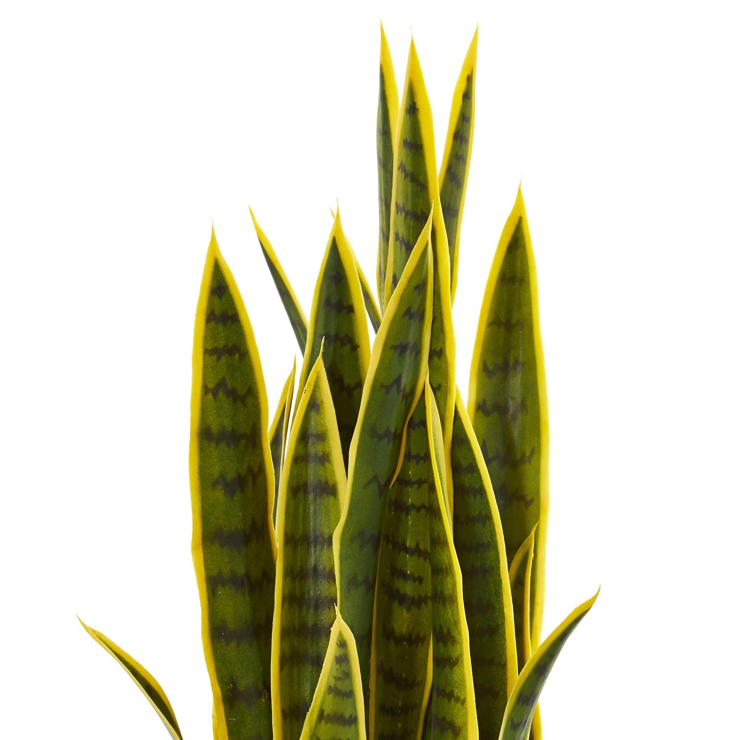 Snake Plant Faux Sansevieria Plant 30”