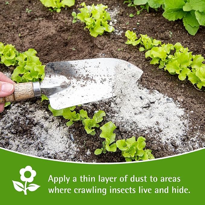 DIATOMACEOUS EARTH 7oz