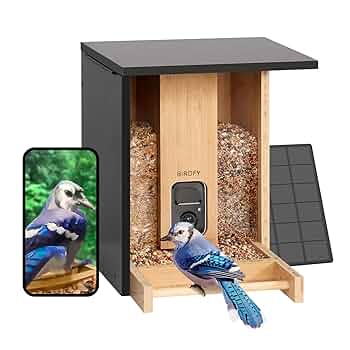 Mini Bamboo AI Bird Feeder with Cam & Solar Power