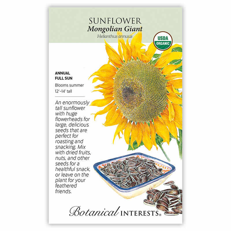 SEEDS 449
