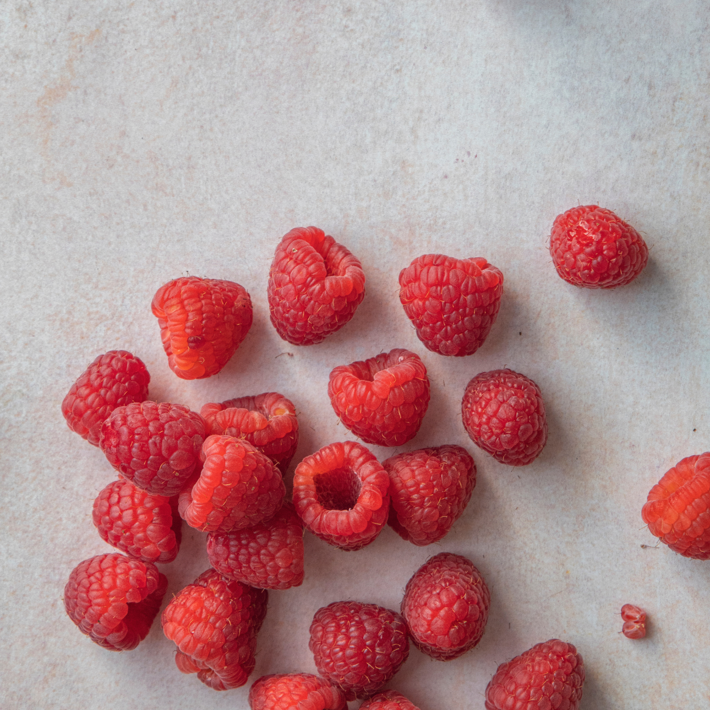 SUPERLICIOUS RASPBERRY 2gal