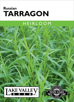 SEEDS 259